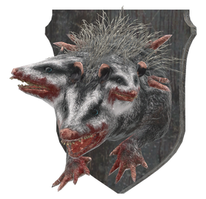 Mounted opossum.png