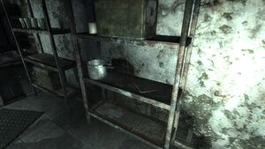 Tumblers Today Talon Company camp.jpg