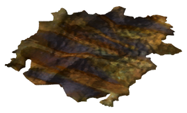 Golden gecko hide.png