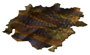 Golden gecko hide.png