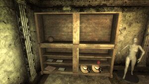 Fo3 basketball Tenpenny Tower.jpg