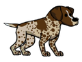 German Pointer