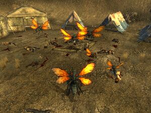 Cazadores tribal village.jpg