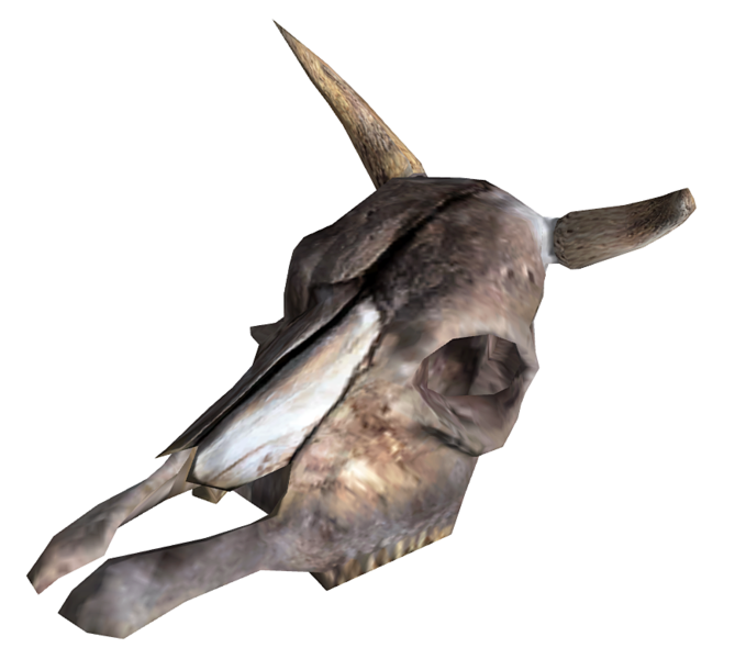 Datei:Brahmin Skull.png