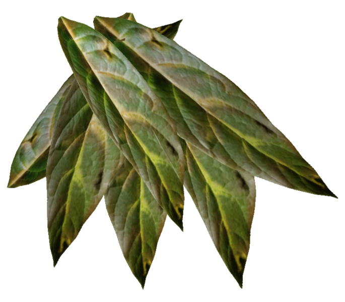 Datei:Coyote tobacco chew.png