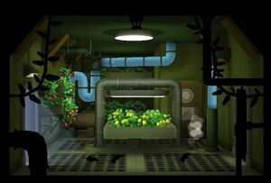 FoS garden 1room lvl3.jpg