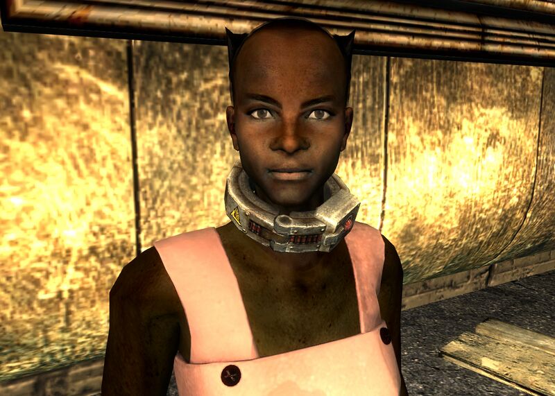 Datei:FO3 Crimson.jpg