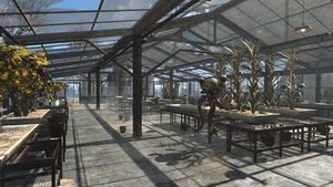 FO4 Graygarden Interior Greenhouse.jpg