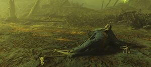 Fallout-4-Far-Harbor-Fakt-2.jpg