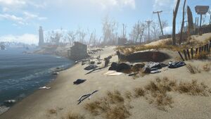 FO4 Salem Beach.jpg