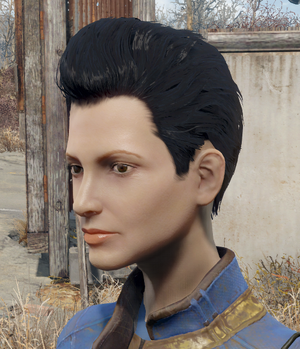 Pompadour wig.png