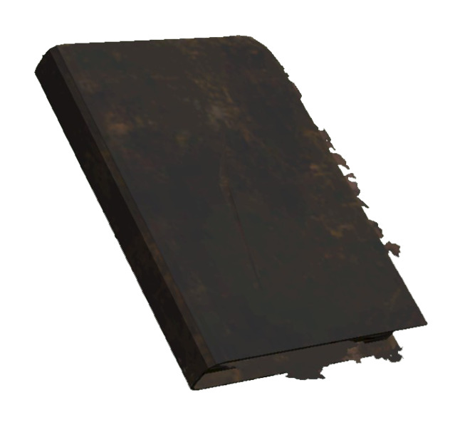 Datei:Burnt textbook.png