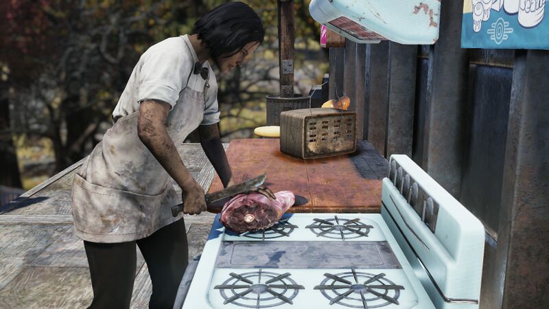 Datei:FO76 S3 YasminChowdhury.jpg