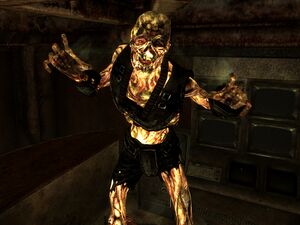 Vault 34 overseer.jpg