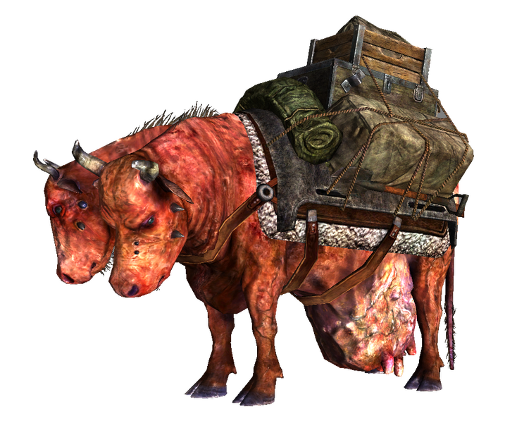 Datei:Hoff's and Wolfgang's pack brahmin.png