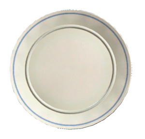 Clean white plate.png