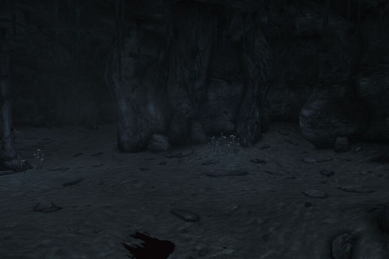 Datei:Jackarunda DarkCaveNoNightEye.jpg