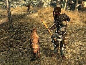 Raider guard dog KBB.jpg
