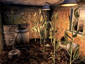 Mojave home interior.jpg