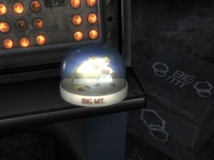 Snow globe - Big MT.jpg