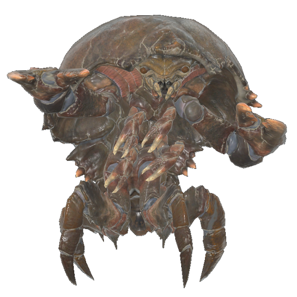 Datei:FO76 creature mirelurk.webp