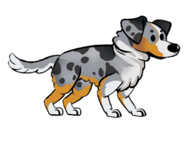 FoS Australian Shepherd.png