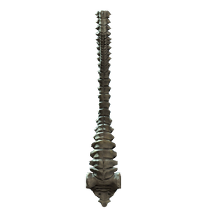 Spine.png