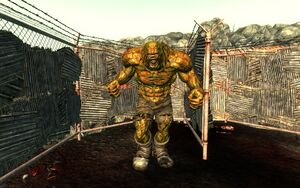 Evergreen Mills Caged Behemoth.jpg