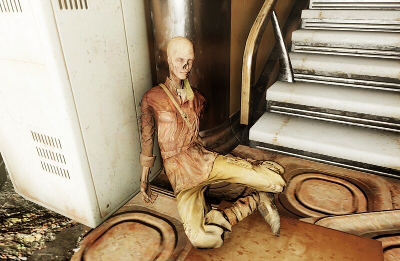 Datei:FO76 Sara Samir.jpg