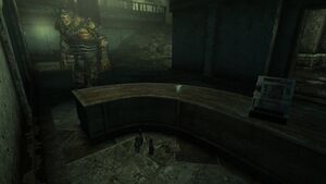 USA 30 HFR La Maison Beauregard.jpg