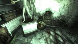 Fo3 Lucky's missiles.jpg