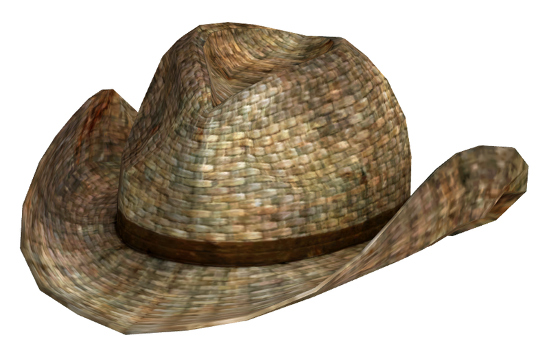 Datei:Rattan cowboy hat.png