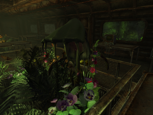 FalloutNV-Sporeplant.png