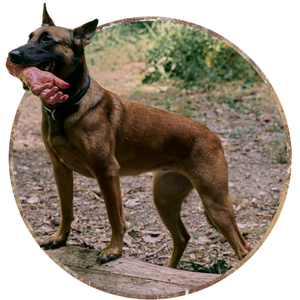 Fallout Season 1 Amazon CX404.png