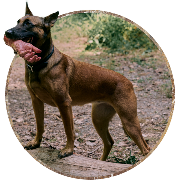 Datei:Fallout Season 1 Amazon CX404.png