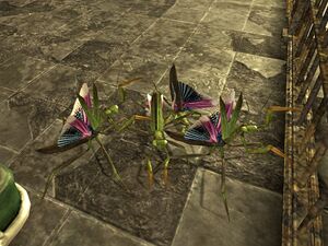 Giant mantis nymphs at NHPS.jpg