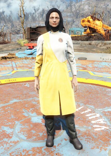 Datei:Institute division head coat yellow.jpg