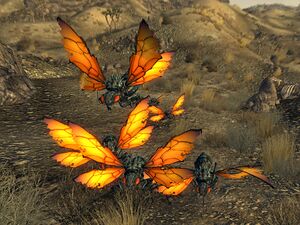 Cazadors at nest.jpg