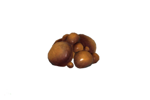 FO76WL Floater pus sac.png