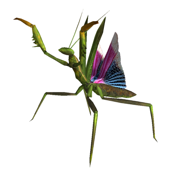 Datei:Giant mantis nypmh.png