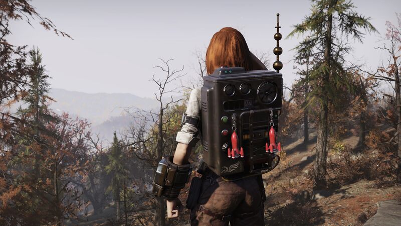 Datei:FO76 S3 BackpackFlair.jpg