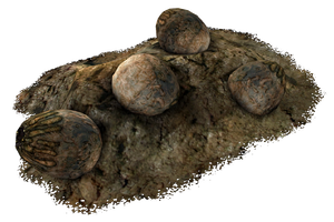 Deathclaw eggs.png
