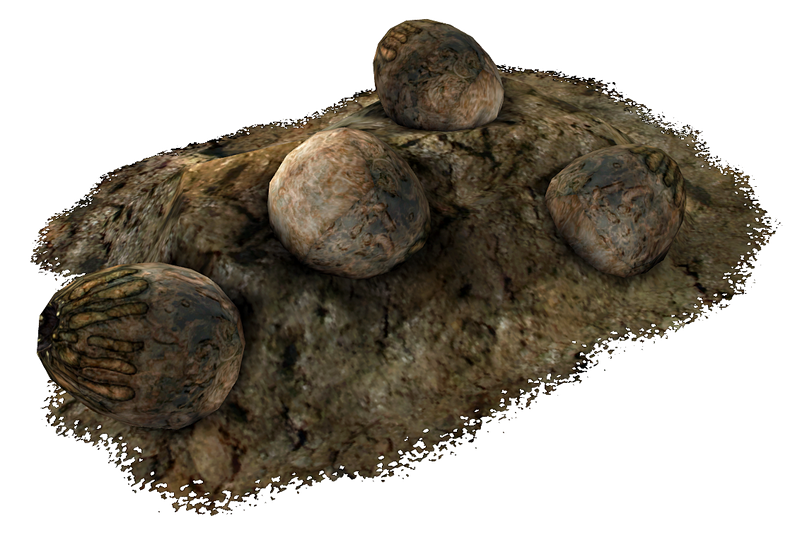 Datei:Deathclaw eggs.png