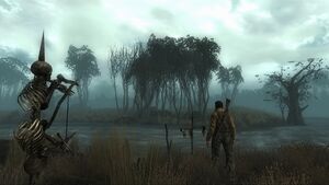 Point Lookout Swamp.jpg