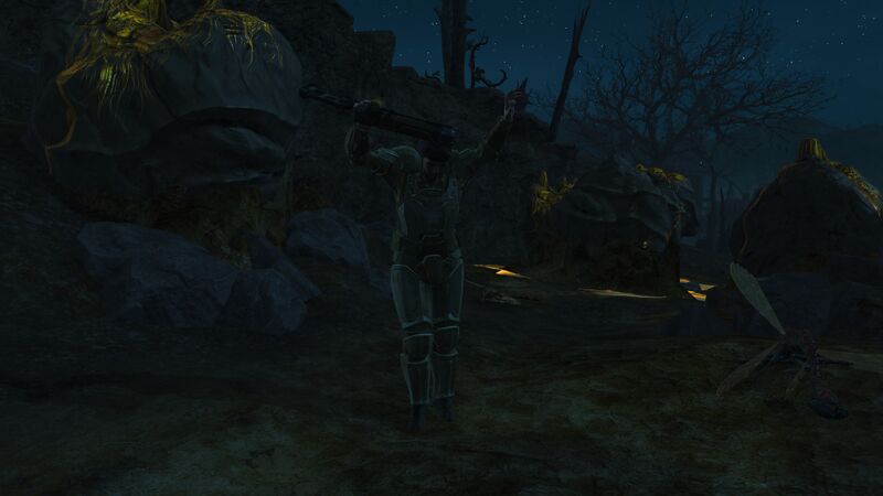 Datei:Companion Bug.jpg