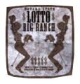 Lottery ticket