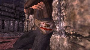 Caravaneer outfit ncr logo.jpg