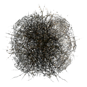 Tumbleweed.png