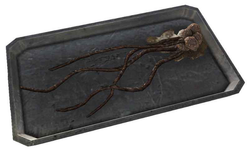 Datei:FO3MZ alien squid food.png