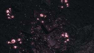 Lake Mead Cave Skill Mag Location.jpg